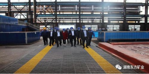 全國電解金屬錳創新聯盟成員單位參觀湖南東方礦業，共探金屬礦批發新機遇